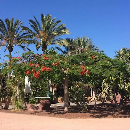 Canary Islands Getaway