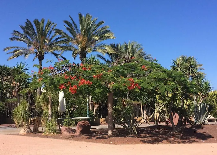 Canary Islands Getaway